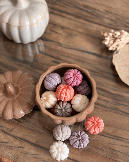 pumpkin pompoen waxmelts in pot
