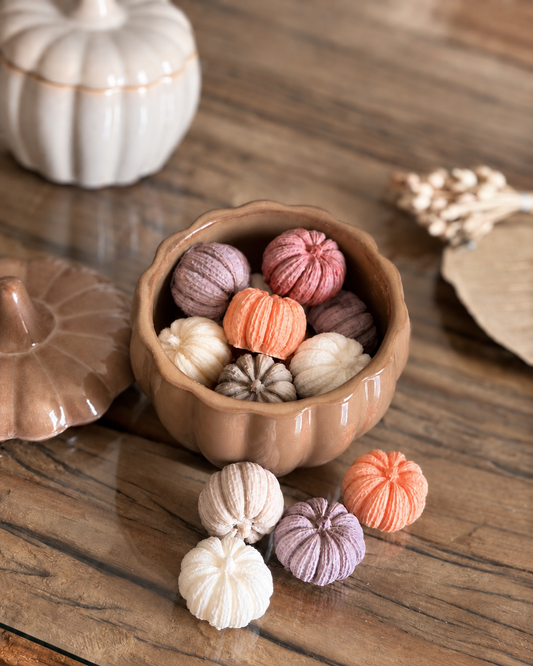 pumpkin pompoen waxmelts in pot