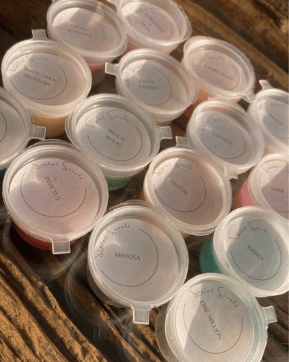 Build your own waxmelt box